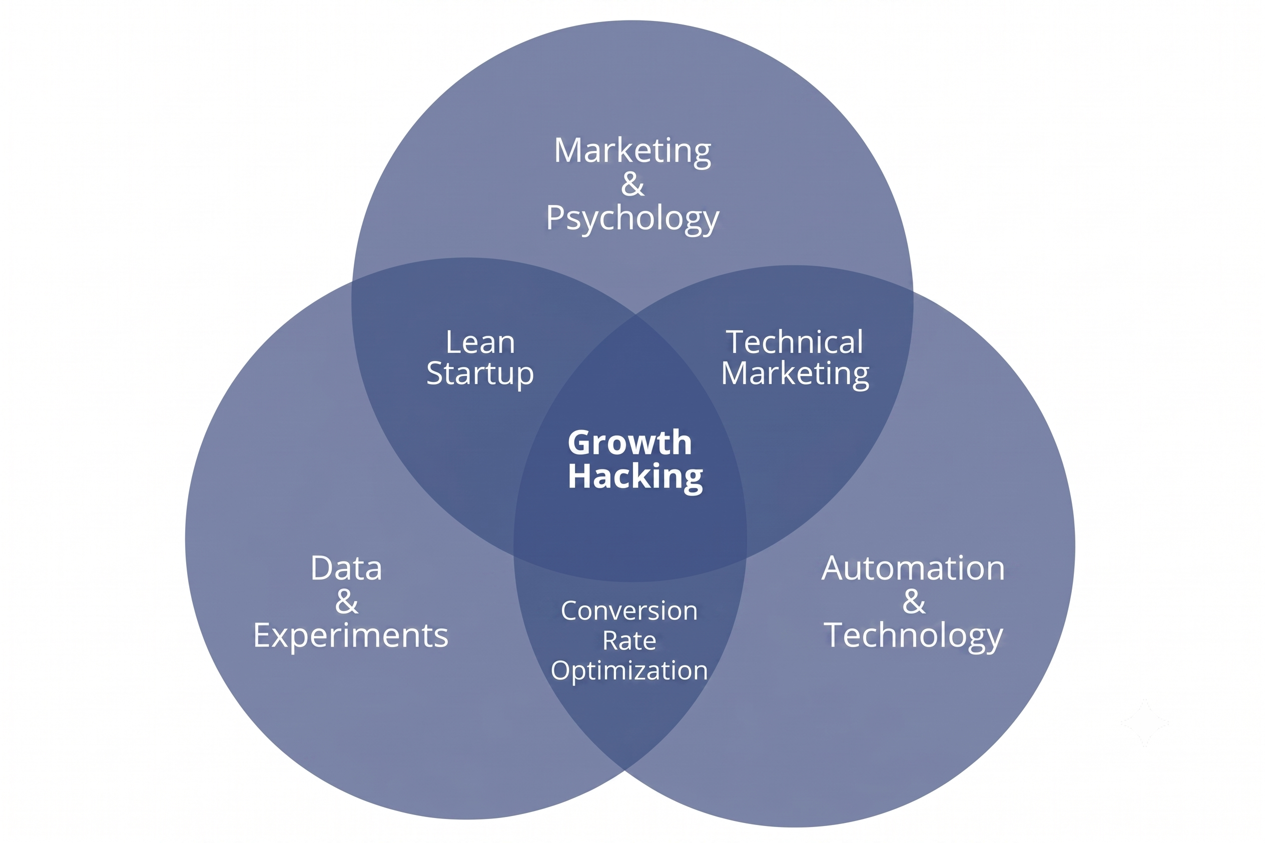 Agenzia di growth hacking: cos’è, cosa fa e come sceglierla